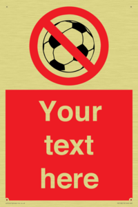 Custom No Ball Games Sign